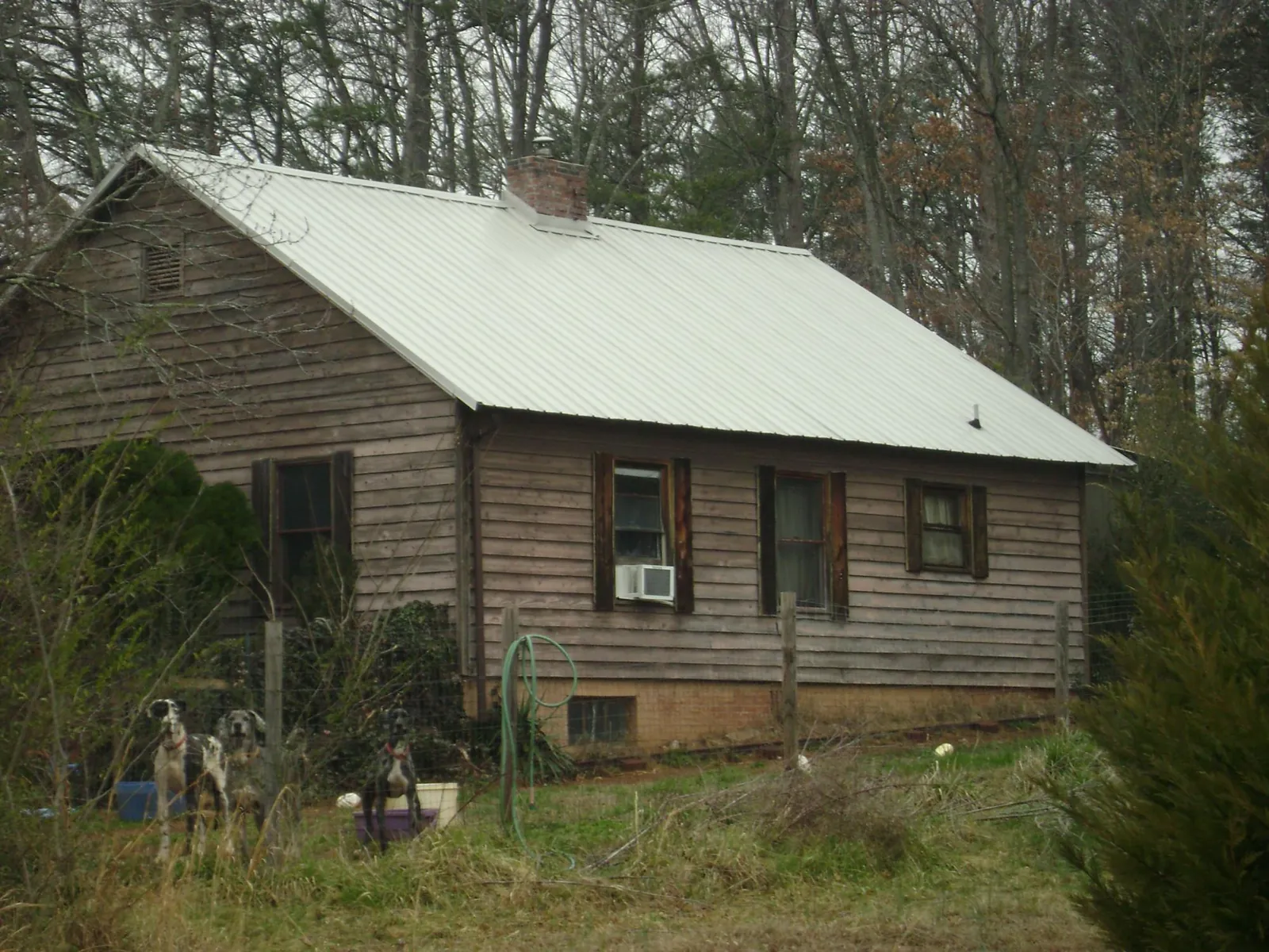 White metal roof on an old wood sided farmhouse, from a Asphalt Shingle Roof Repair job in Kirkville